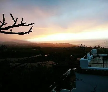 Volcanic Experience La Orotava